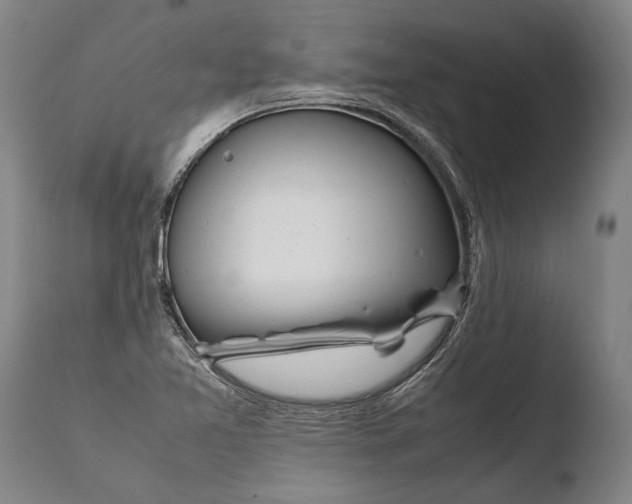 X0000108481365200904241250