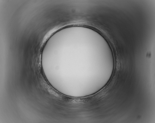 X0000108481366200904241250