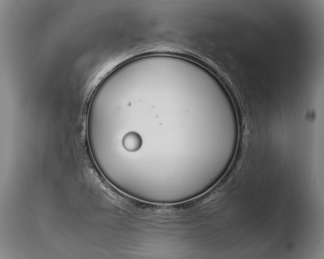 X0000108481367200904241250