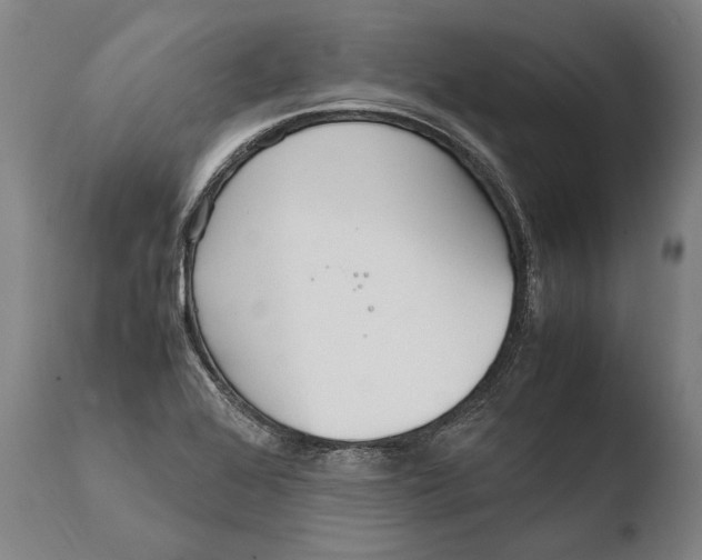 X0000108481368200904241250