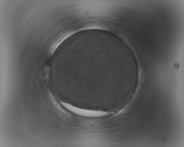 X0000108481369200904241250