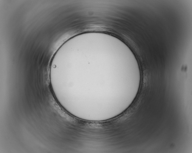 X0000108481370200904241250
