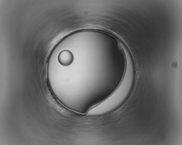 X0000108481371200904241250