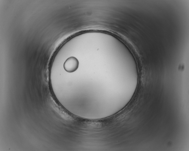 X0000108481372200904241249