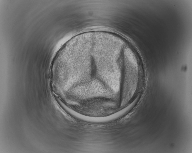 X0000108481373200904241249