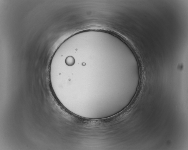 X0000108481375200904241249