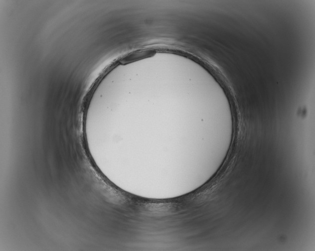 X0000108481376200904241249