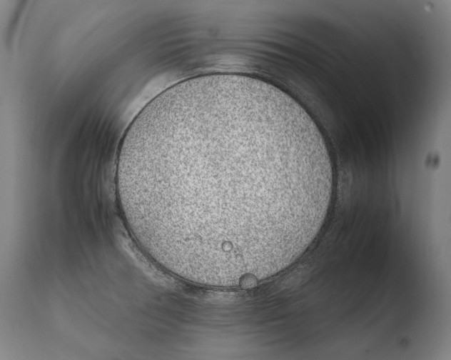 X0000108481378200904241249