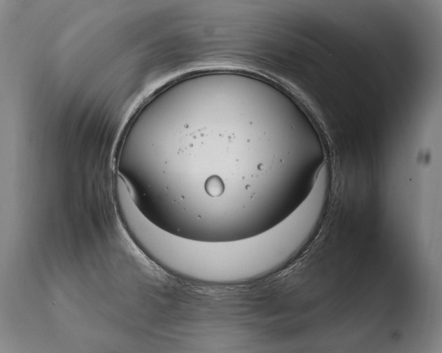 X0000108481380200904241249
