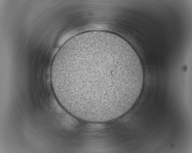 X0000108481382200904241249