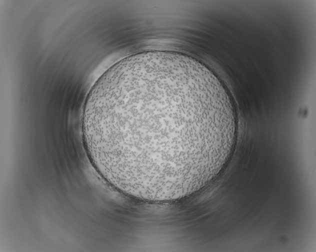 X0000108481386200904241249