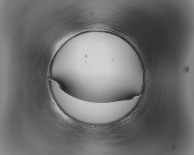 X0000108481387200904241249