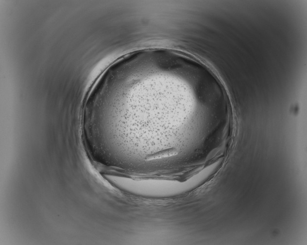 X0000108481389200904241249