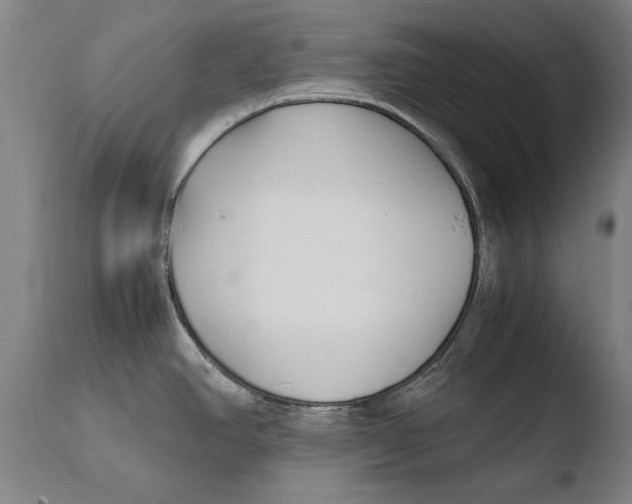 X0000108481390200904241249