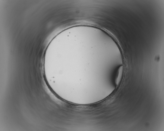 X0000108481391200904241249