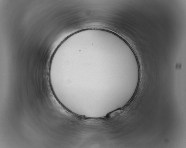 X0000108481392200904241249