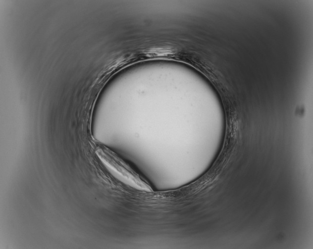 X0000108481393200904241248