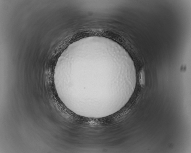 X0000108481395200904241248
