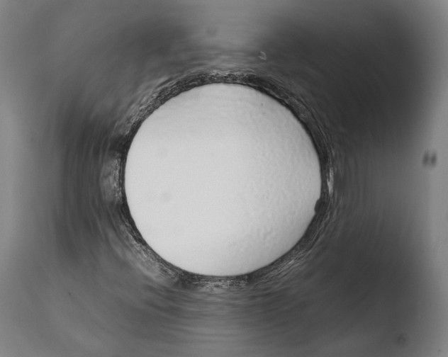 X0000108481396200904241248