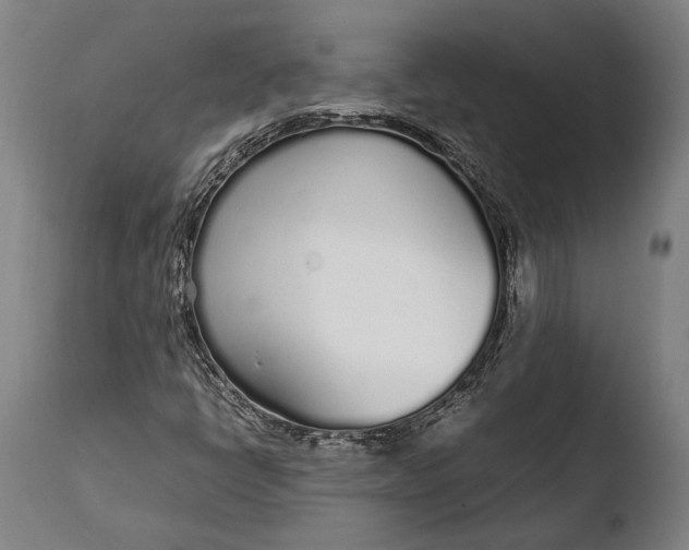 X0000108481398200904241248
