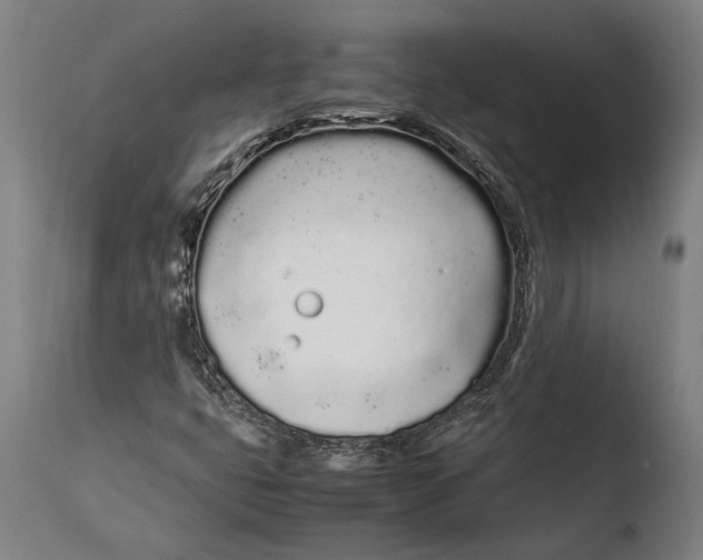 X0000108481399200904241248