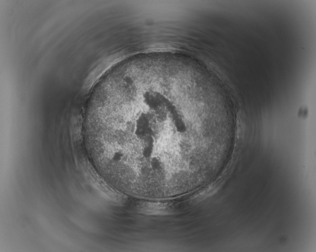 X0000108481401200904241248