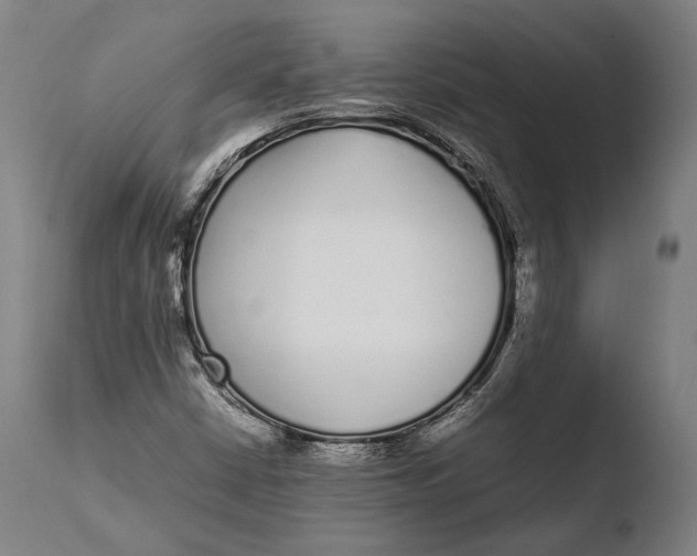 X0000108481402200904241248