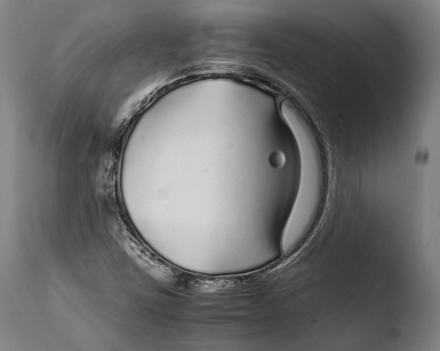 X0000108481403200904241248
