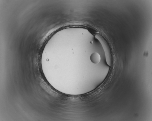 X0000108481404200904241248