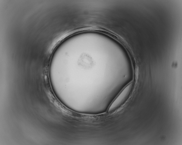 X0000108481405200904241248