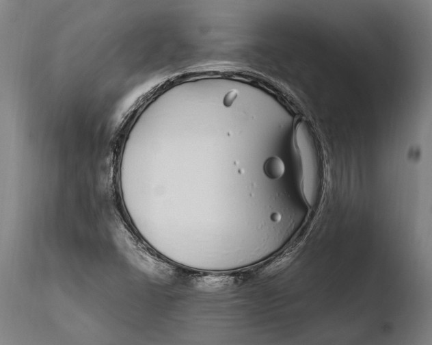 X0000108481406200904241248