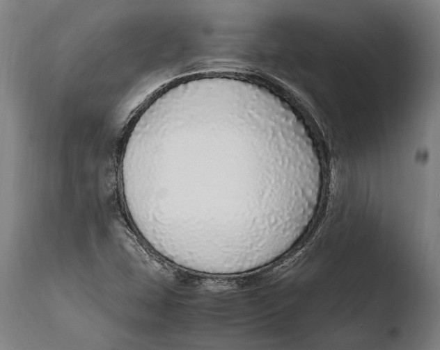 X0000108481407200904241248
