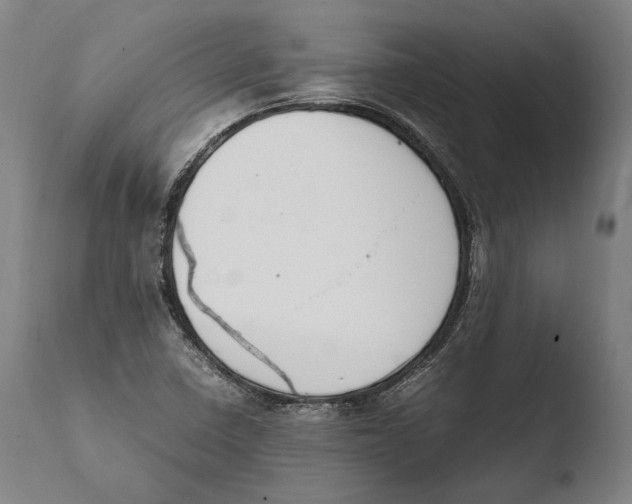 X0000108481410200904241248