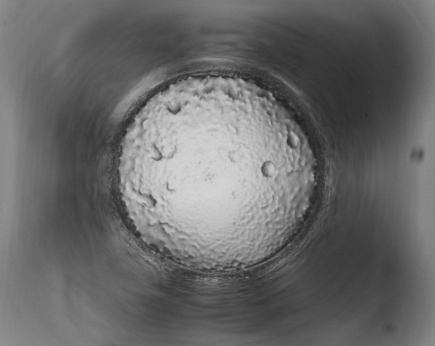 X0000108481411200904241248
