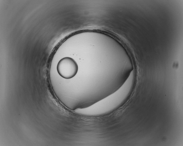 X0000108481412200904241248