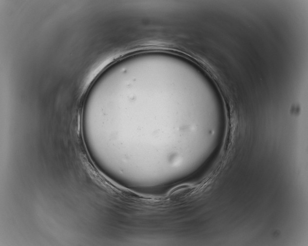 X0000108481413200904241248