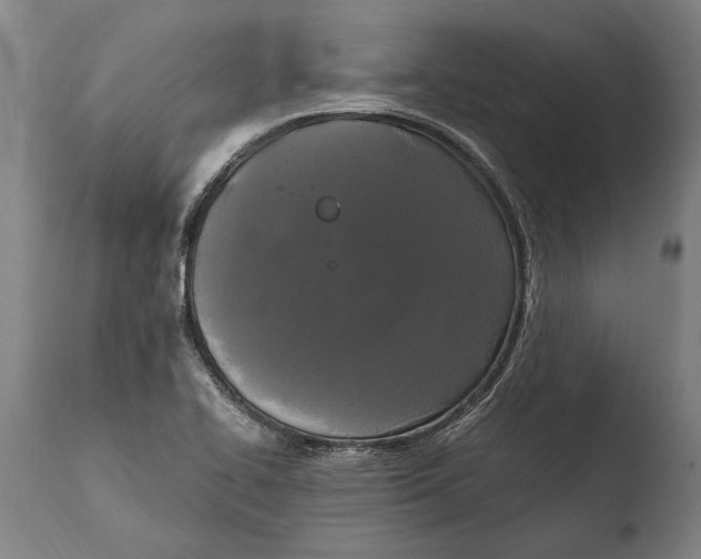 X0000108481414200904241249