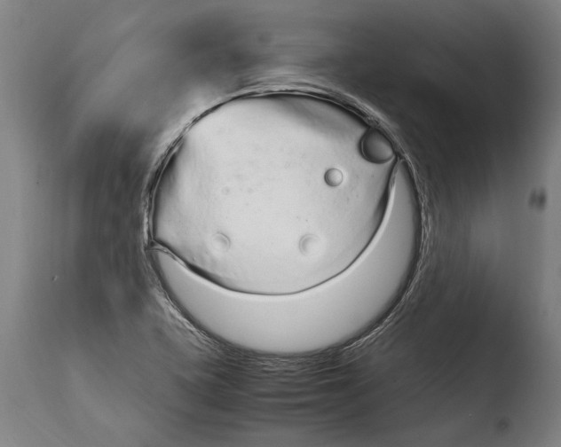 X0000108481415200904241249