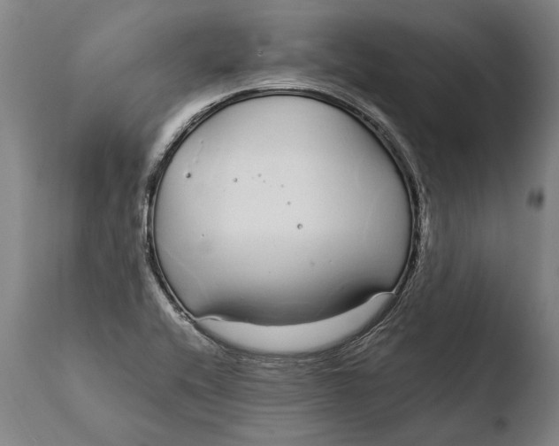 X0000108481416200904241249