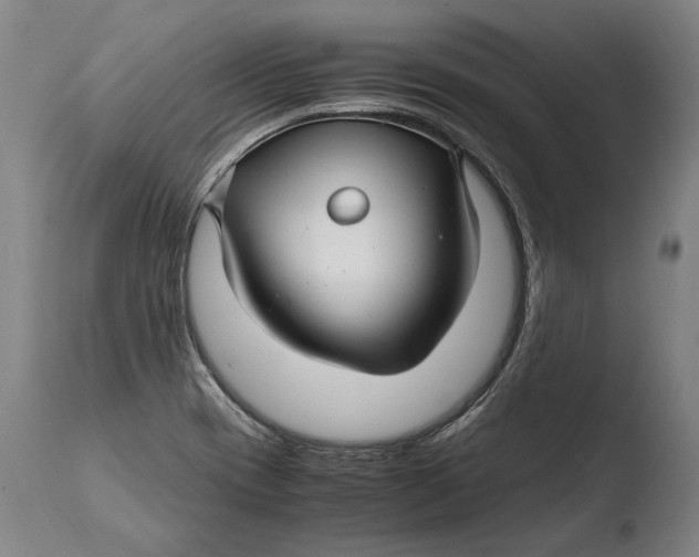 X0000108481417200904241249