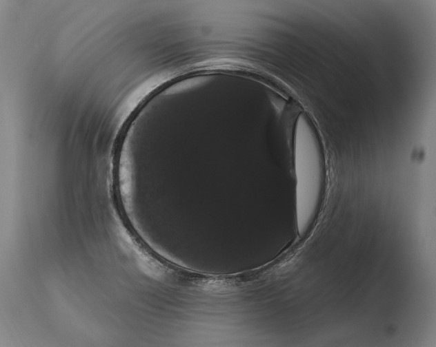 X0000108481418200904241249