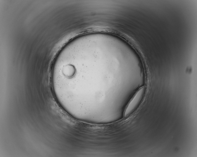 X0000108481419200904241249