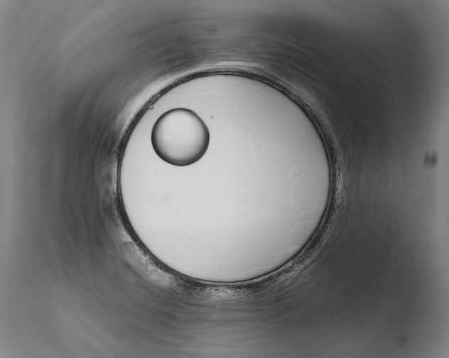 X0000108481420200904241249