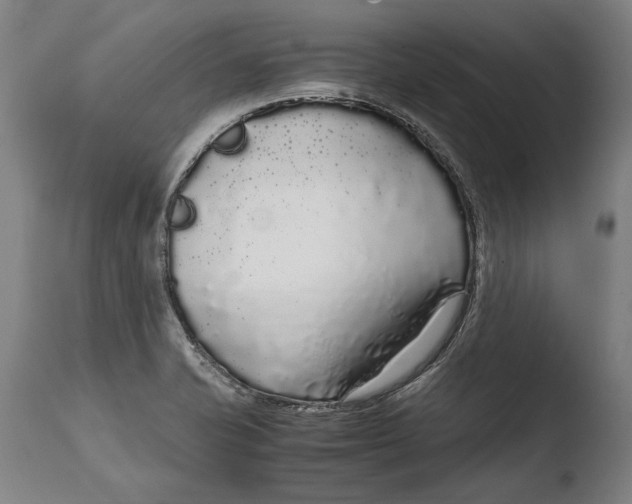 X0000108481421200904241249