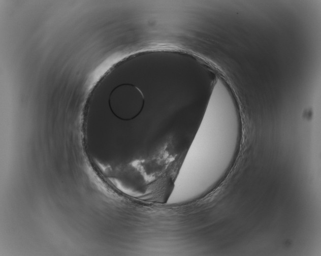 X0000108481422200904241249