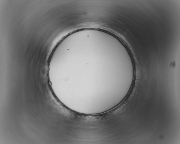 X0000108481424200904241249