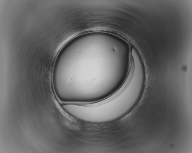 X0000108481425200904241249