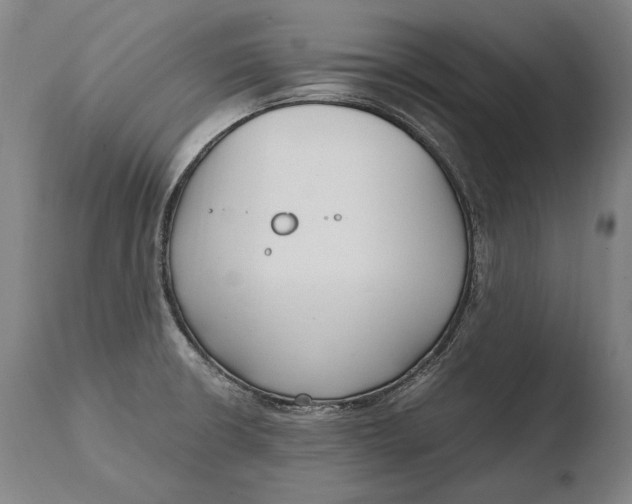 X0000108481426200904241249