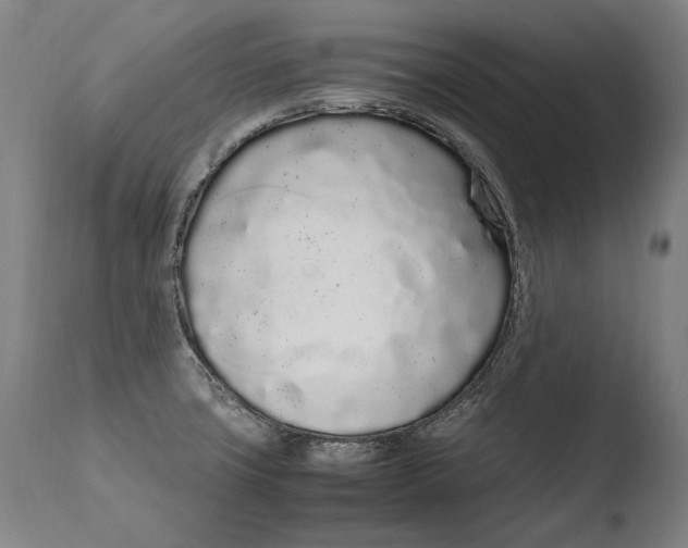 X0000108481427200904241249