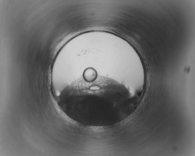 X0000108481428200904241249
